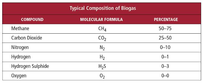沼气组成如何随时间而变化